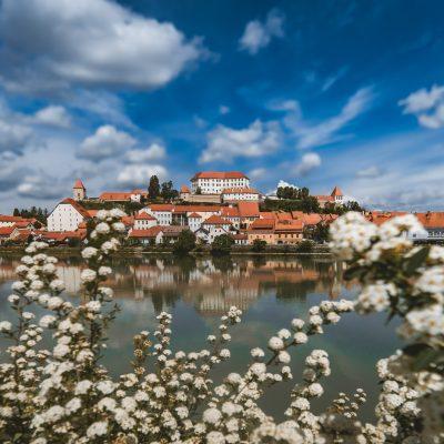 Fotografija mesta Ptuj v poletnem letnem času.